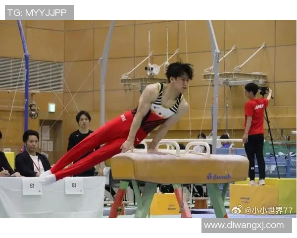 奥运会体操项目选手动作完成度评估与影响因素分析