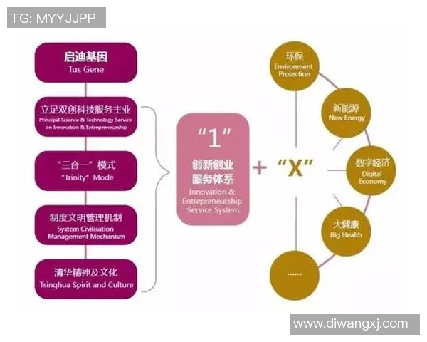CBA球队管理模式与教练团队建设的创新路径与实践经验分析