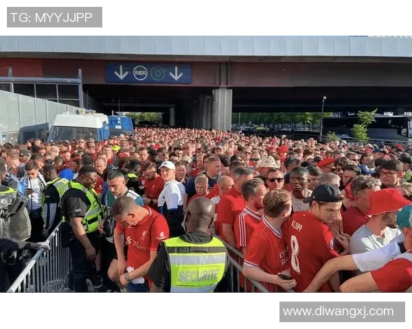 球迷假票事件调查 球迷假票事件调查